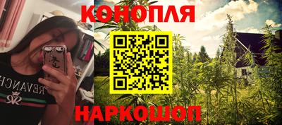 мяу мяу мука Нарткала