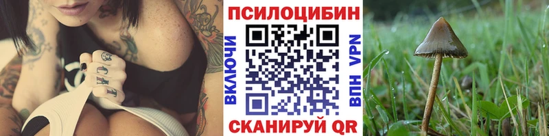 Галлюциногенные грибы Cubensis  Янаул 