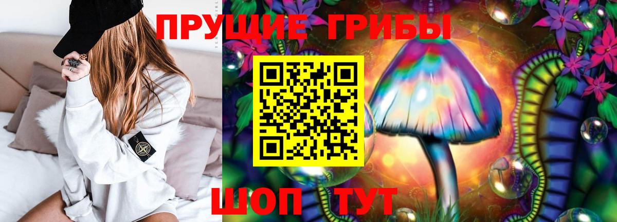 Галлюциногенные грибы MAGIC MUSHROOMS  Вход с VPN  Янаул 